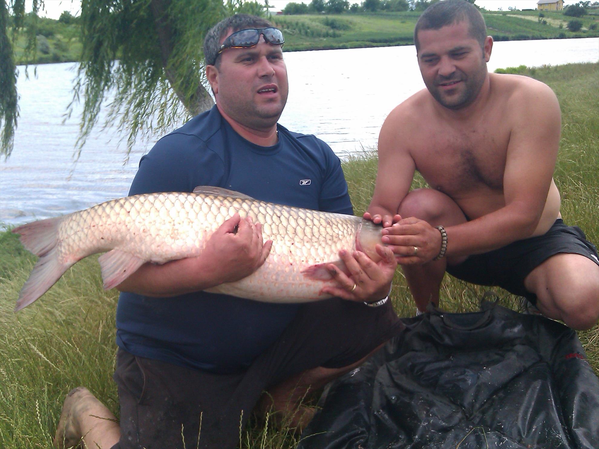 peste - picture-004.jpg